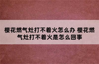 樱花燃气灶打不着火怎么办 樱花燃气灶打不着火是怎么回事